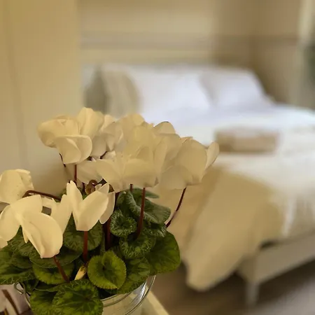 Lägenhet Charming Next To The Duomo Florens