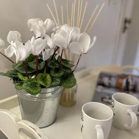 Charming Next To The Duomo * Florens